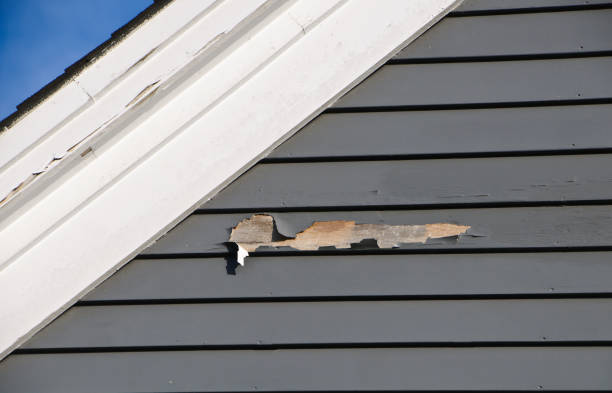 Best Wood Siding Installation  in Whetstone, AZ